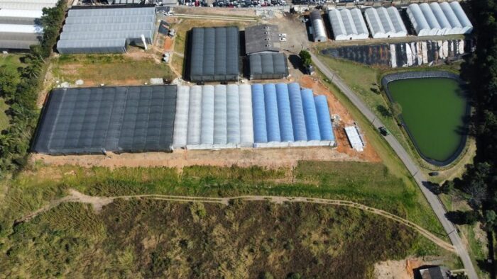 Ball | Institucional