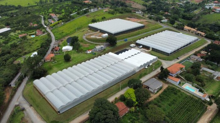 Ball | Institucional