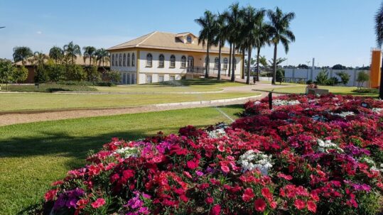 Ball | Institucional