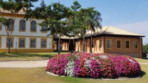 Ball | Institucional