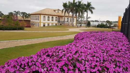 Ball | Institucional